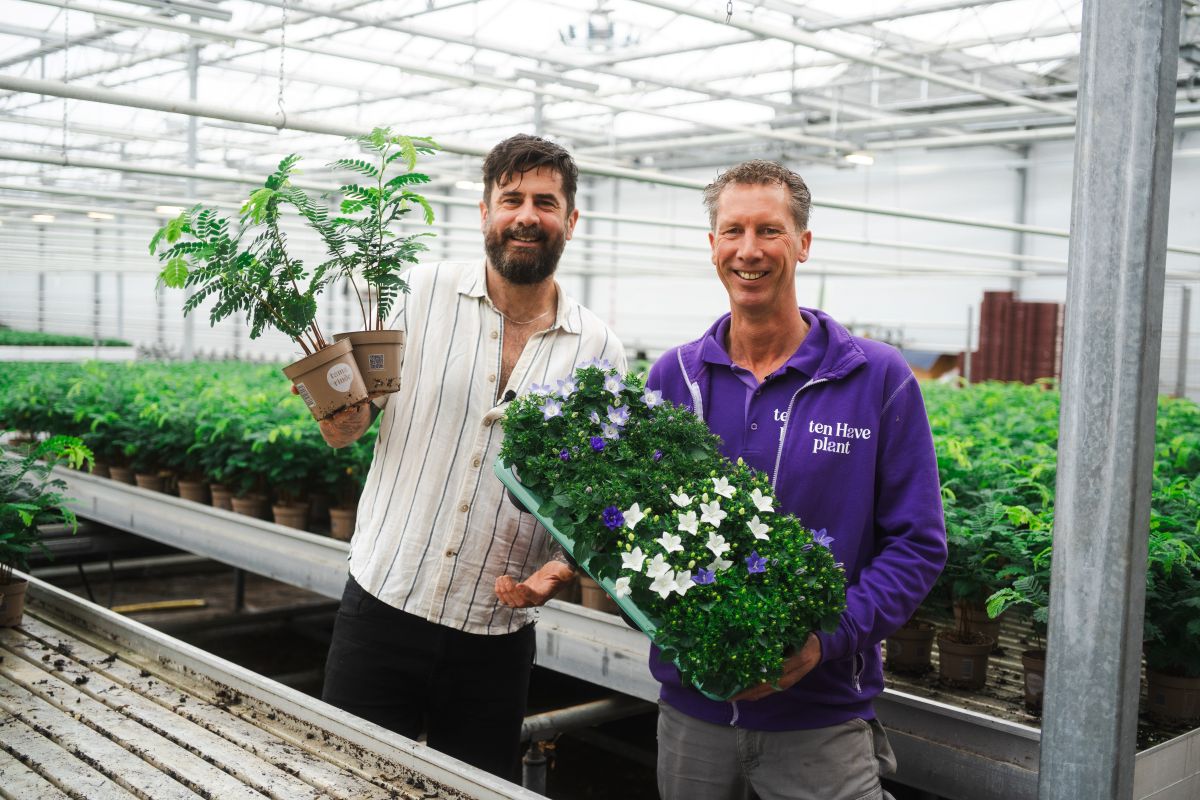 Michael Perry Ten Have Plant